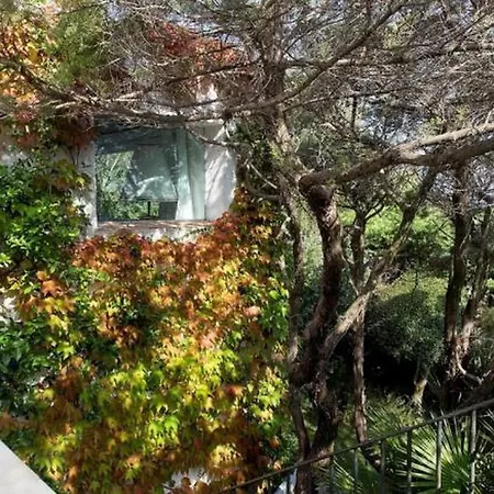Casa Ruben 切尔沃港
